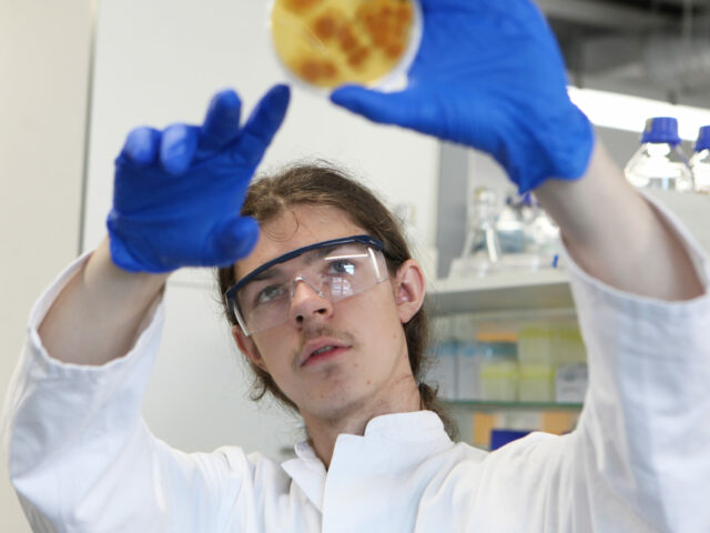 Taake Lottmann_Goethe Gymnasium Frankfurt (1) Taake Lottmann_Goethe Gymnasium Frankfurt (1)