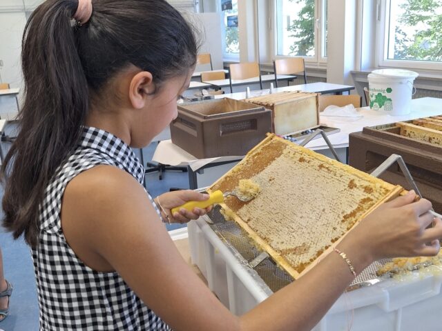 Screenshot Screenshot