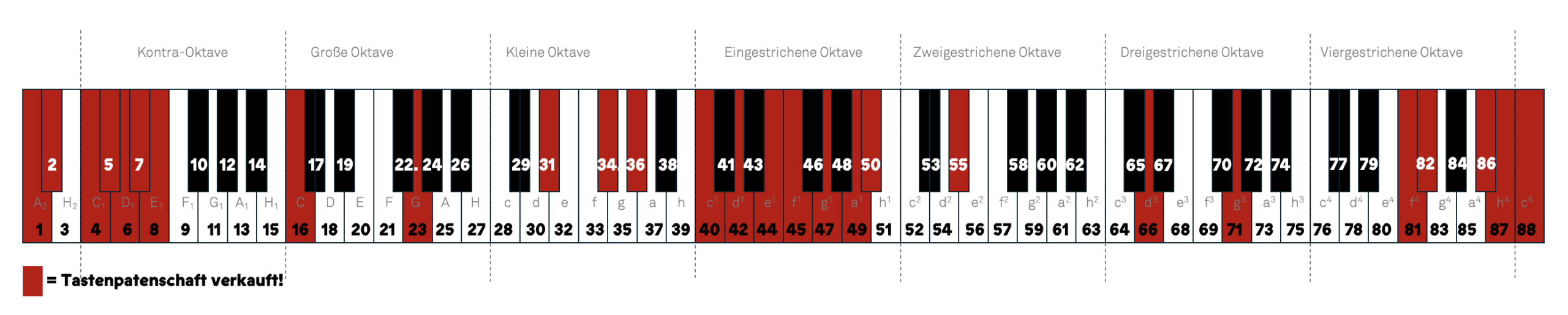 Fluegelpaten_04.03.26_4